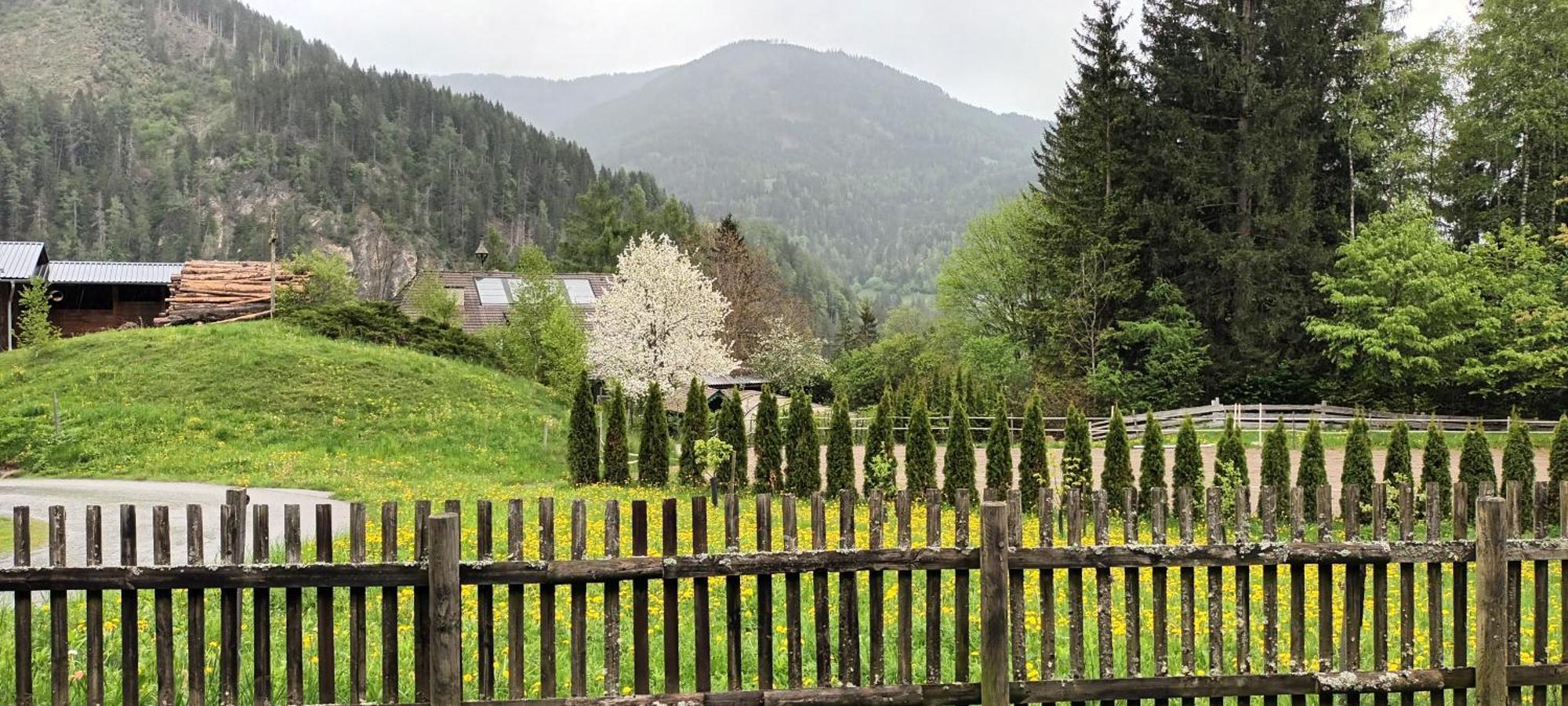 Villa Umundumhütte Katsch an der Mur Exterior foto
